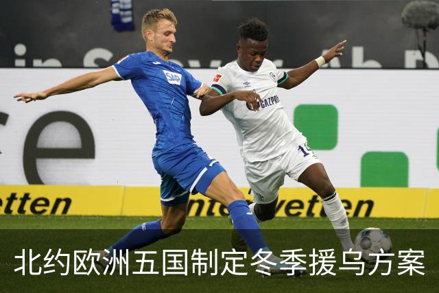 北约欧洲五国制定冬季援乌方案