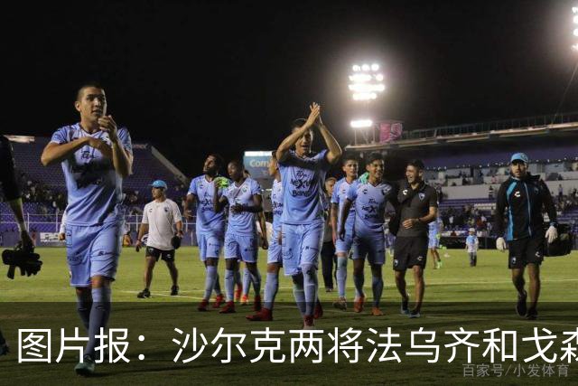 图片报：沙尔克两将法乌齐&戈森斯严重撞伤，将缺席杯赛