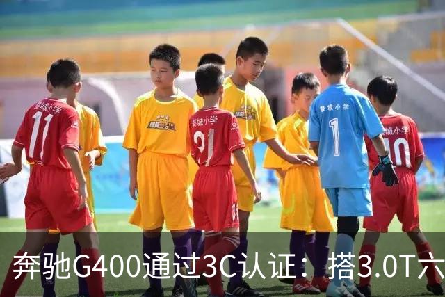 奔驰G400通过3C认证：搭3.0T六缸，比G500便宜很多