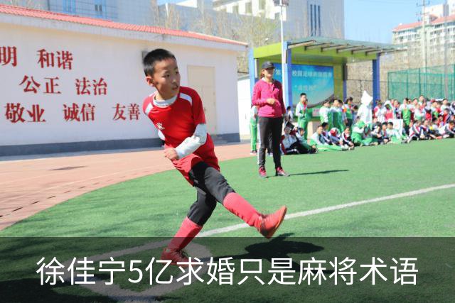 徐佳宁5亿求婚只是麻将术语