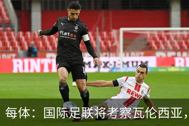 每体：国际足联将考察瓦伦西亚，2030世界杯申办迎转机