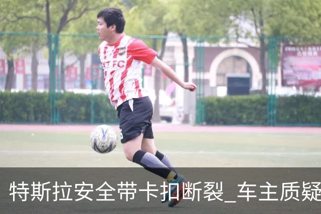 特斯拉安全带卡扣断裂 车主质疑质量缺陷