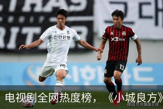 电视剧全网热度榜，《小城良方》跌至第二，第一热度高达75.24