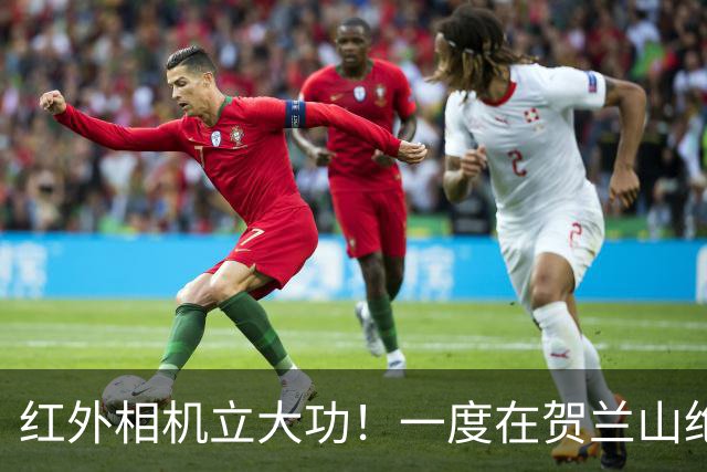 红外相机立大功！一度在贺兰山绝迹近70年，如今拍到一家三口同框