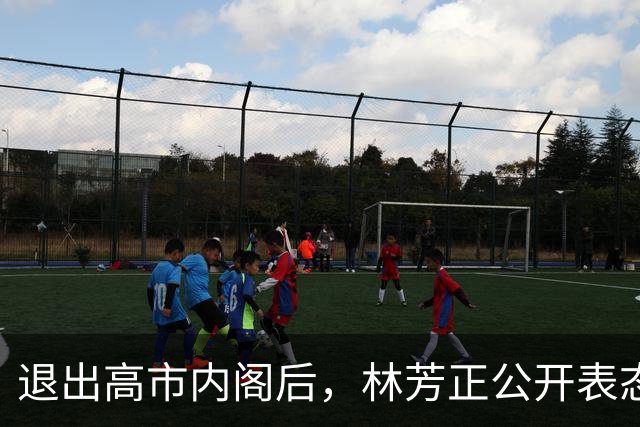 退出高市内阁后，林芳正公开表态：与中国开战？完全不可想象