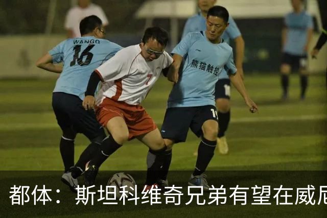 都体：斯坦科维奇兄弟有望在威尼斯与国米比赛中同场竞技