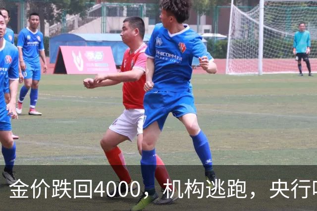 金价跌回4000，机构逃跑，央行吃饱，你相信谁？
