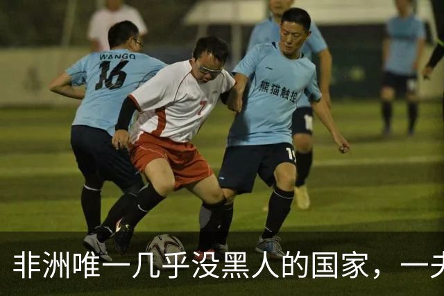 非洲唯一几乎没黑人的国家，一夫多妻，美女泛滥，还对中国免签！