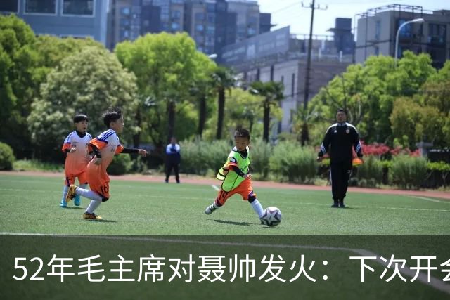 52年毛主席对聂帅发火：下次开会你别来了！好在一干部及时解围